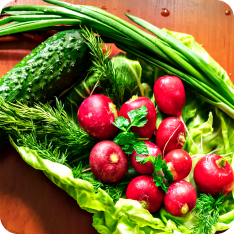 healthy diet with salad