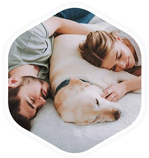 8. Sleep Without Your Pets